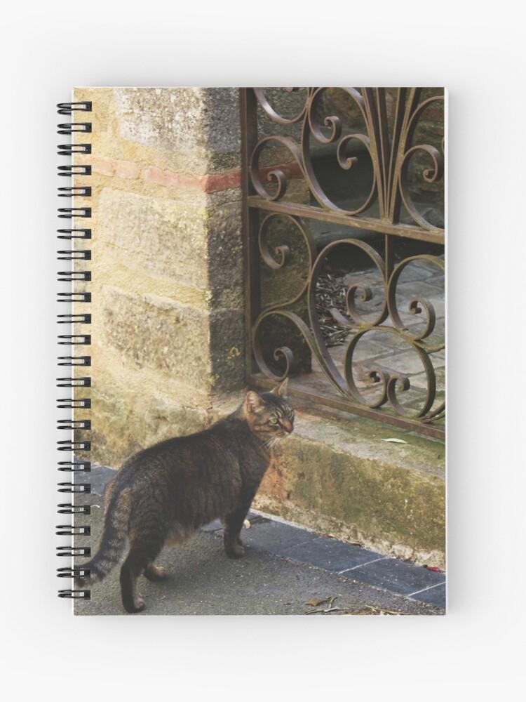Cat in French Stone Village Street Carnet 1 work 177756991 cahier a spirale