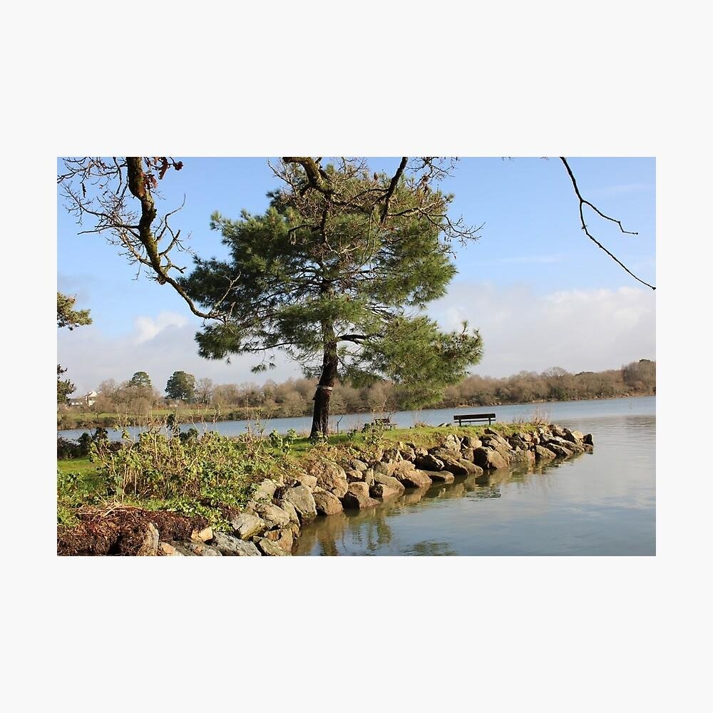 Quiet bench at Conleau Brittany coastal photography print