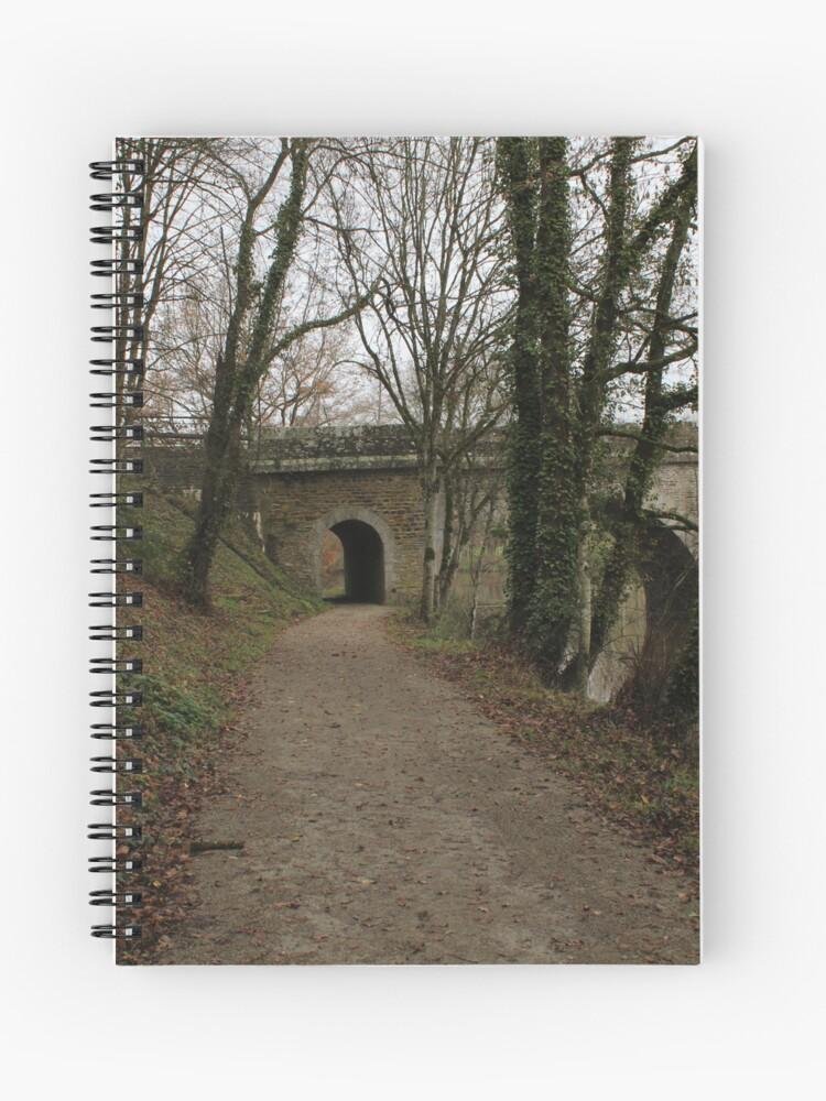 Woodland path leading to a stone arch bridge surrounded by bare trees and fallen autumn leaves.