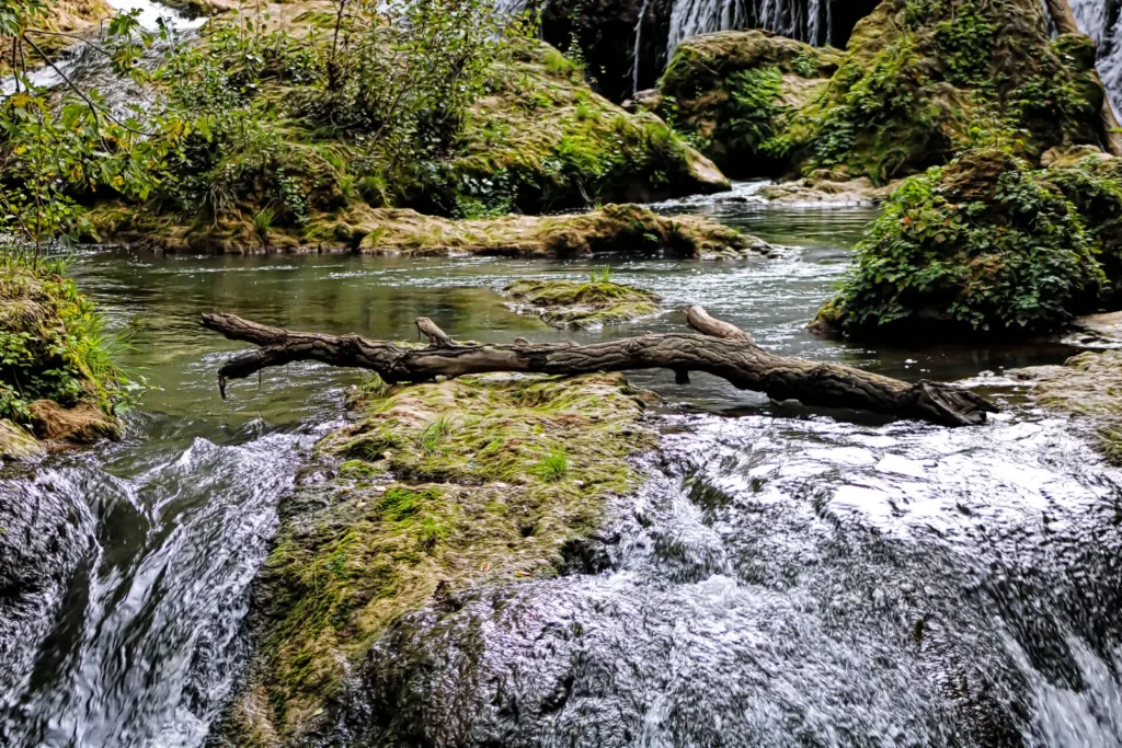 Caramy waterfall flowing over mossy rocks in a natural forest landscape in Provence, France