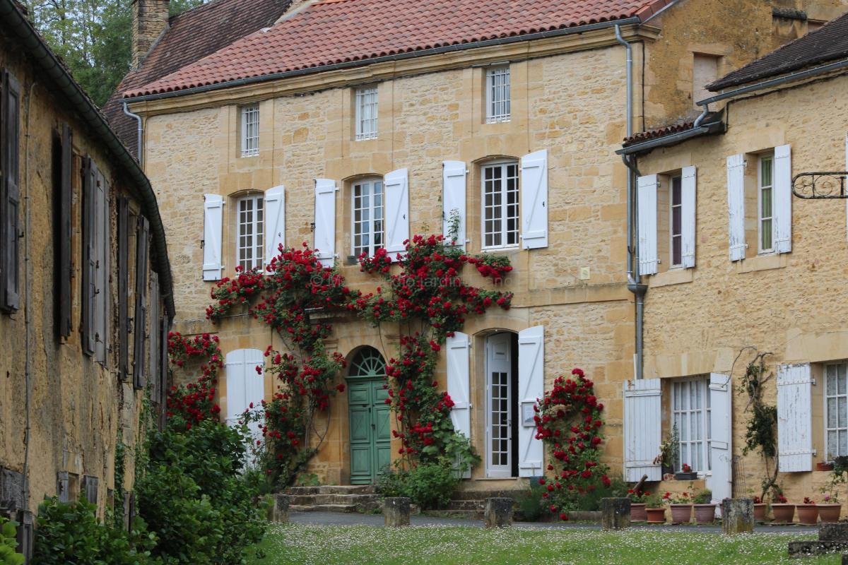 Summer Charm in the Dordogne 1 Traditional honey-colored stone house in a Dordogne village with blooming red climbing roses and green wooden door.
